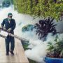 ‘Fogging’-Solusi Terakhir & Terburuk bagi Demam Berdarah Dengue