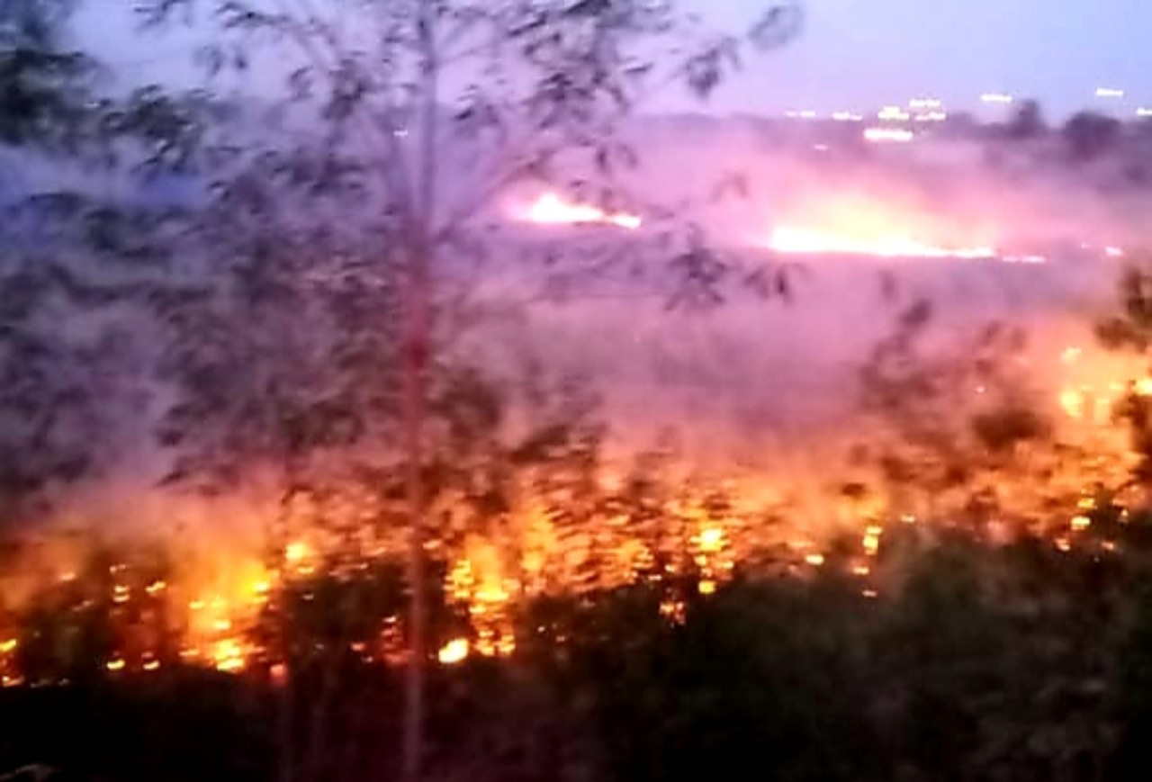 Lahan Ilalang di Dekat Tol Kanci Cirebon Terbakar, Penyebab Belum Diketahui