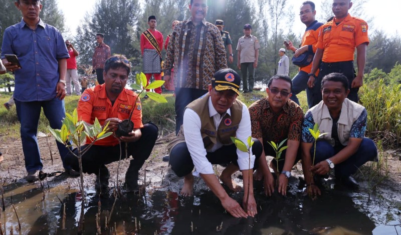 Doni Monardo Imbau Taman Vegetasi untuk Atasi Abrasi