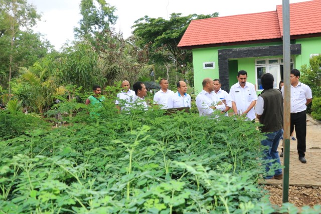Kunjungi Lokasi Persemaian Bibit, Gubernur Viktor : Lestarikan Hutan di NTT