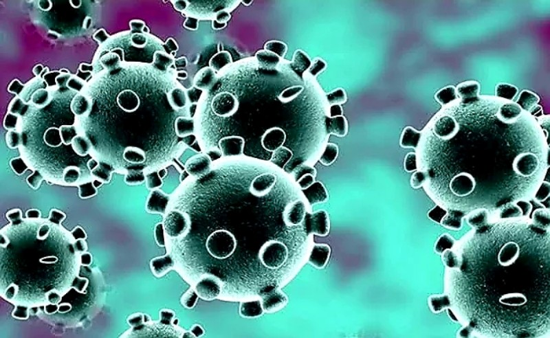 25 Orang Meninggal Akibat Virus Corona, Ini Imbauan Ikatan Dokter Indonesia