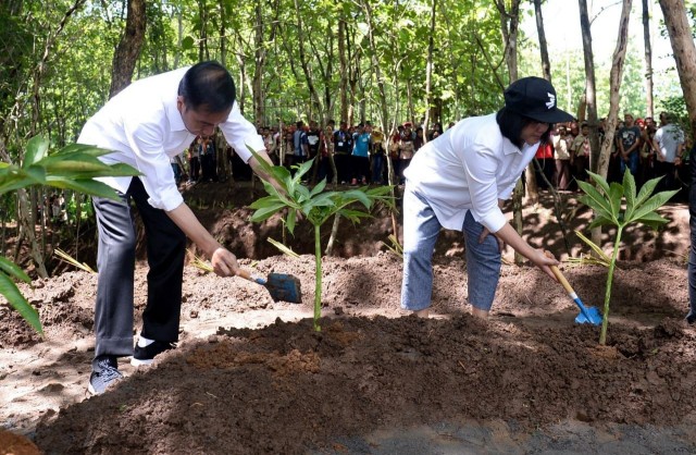 Presiden Jokowi Ajak Masyarakat Pulihkan Hulu DAS dengan Agroforestri