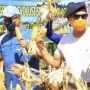 Panen Jagung Program TJPS di Kab. Kupang, Gubernur NTT: Belajar dari Kisah Yesus