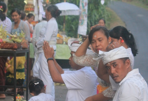 Pemeriksaan Cepat Kunci Sukses Provinsi Bali Tangani Covid-19
