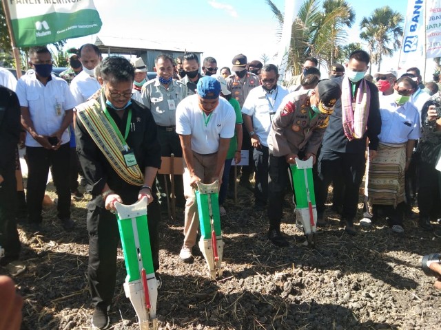 Ini Arahan dan Motivasi Menteri Pertanian bagi Petani TJPS di Desa Manusak