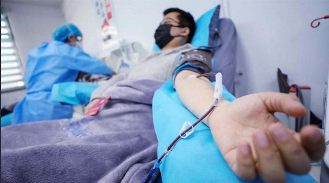 Terapi Plasma Konvalesen Jadi Pengobatan Alternatif Covid-19