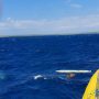 Kapal Tenggelam di Selat Pukuafu, 2 Anak Tewas & 8 Orang Belum Ditemukan