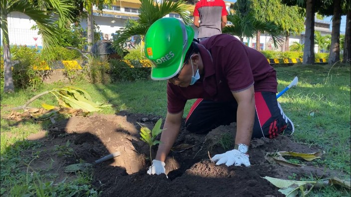PLN UPK Flores Tanam Ratusan Pohon Perindang di Pusat Pembangkit Listrik
