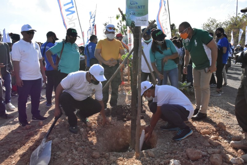 Tanam Pohon di Gerakan Kupang Hijau, Pemkot Kupang Jamin Bakal Rawat