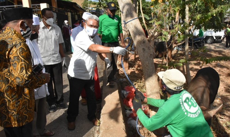 Pemkot Kupang Sumbang 20 Hewan Kurban bagi 20 Masjid Saat Idul Adha 1441H