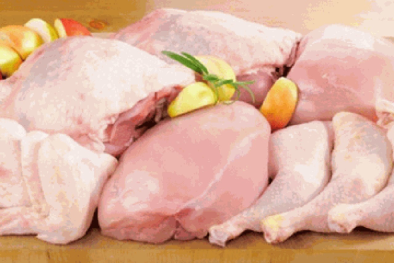Menilik Pentingnya Daging Ayam “Asuh” di Era Pandemi Covid-19