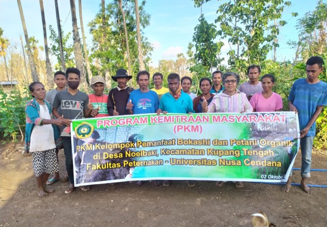 Sinergi PKM Fapet Undana dan Poktan Unuhari, Olah Lahan Kering Pakai Bokashi