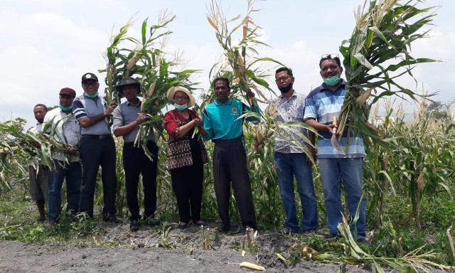 Tiga Tahun Program Kemitraan Wilayah di Poktan Kaifo Ingu, Ini Capaiannya