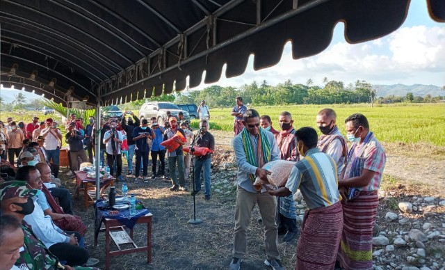 Kadis Pertanian NTT: Sekian Lama NTT Bergantung Benih pada Provinsi Lain