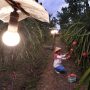 ‘Electrifying Agriculture’ PLN Bakal Mendunia
