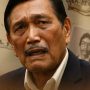Luhut Tanya Apa Kontribusi Pembuat Gaduh Ijazah Palsu Jokowi