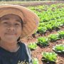 NTT Butuh Petani Milenial, CIRMA Jadi Inisiator