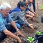 Petani Tanah Merah Binaan CIRMA Tanam Horti di Tengah Krisis Air