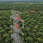 Listrik Hijau Lintas Negara ASEAN, PLN Akselerasi Transisi Energi Bersih
