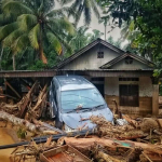 Sejuta Pohon Setahun, 4.634 Izin Tambang Seumur Hidup