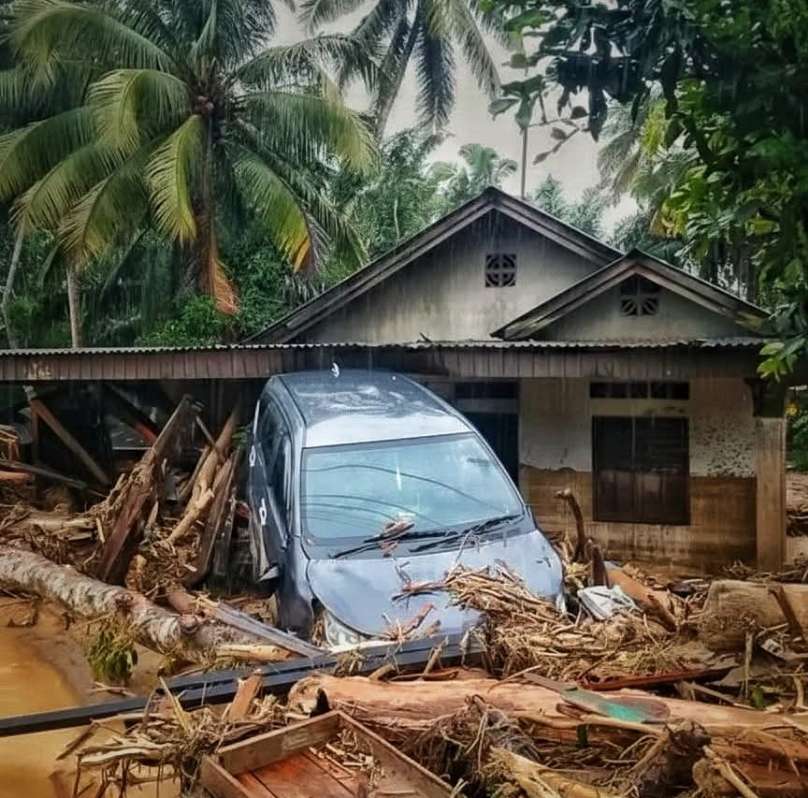 Sejuta Pohon Setahun, 4.634 Izin Tambang Seumur Hidup
