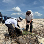 PLN UIP Nusra dan Politeknik KP Kupang Bersihkan Pantai Oesina