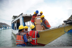 Pulau Padar Kini Lebih Terang dengan Listrik PLTS SuperSUN