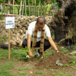 Tekan Emisi Gas Rumah Kaca, Bupati Yosef Lede dan PLN Tanam Pohon