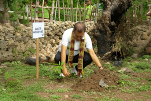 Tekan Emisi Gas Rumah Kaca, Bupati Yosef Lede dan PLN Tanam Pohon