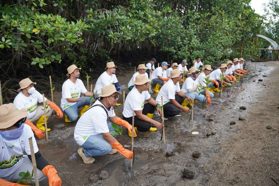 Cegah Abrasi Pantai, PLN Grup NTB Tanam 5000 Mangrove di Lombok Timur