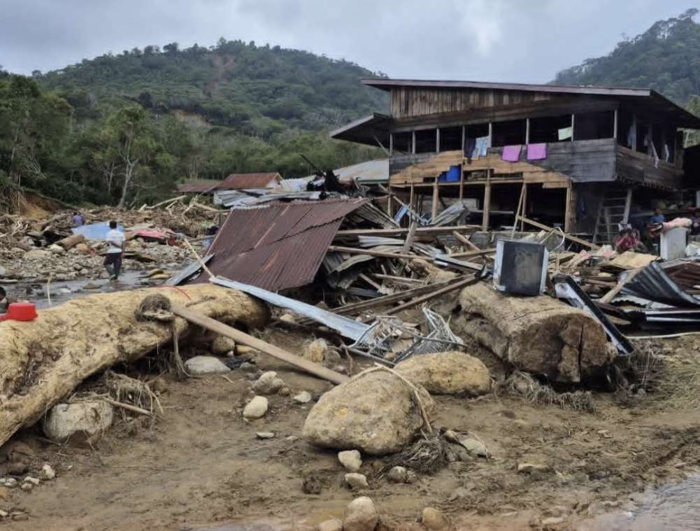 Joko Widodo Jadi Ketua Satgas Bencana BRIN