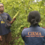 CIRMA Intensifkan Serial Belajar Iklim Petani Timor Barat