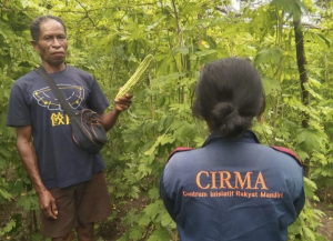 CIRMA Intensifkan Serial Belajar Iklim Petani Timor Barat
