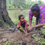 Pengadaan Bibit, Pemprov NTT Respons CIRMA Tanam Ribuan Pinang
