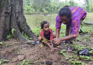 Pengadaan Bibit, Pemprov NTT Respons CIRMA Tanam Ribuan Pinang