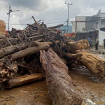 Pemerintah Susun Regulasi Pemanfaatan Kayu Banjir Sumatra