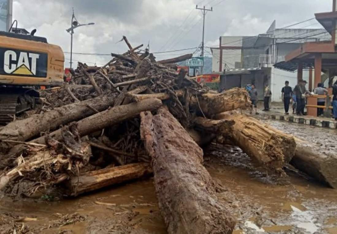 Pemerintah Susun Regulasi Pemanfaatan Kayu Banjir Sumatra