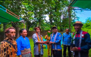 CIRMA Tanam Ribuan Pinang di TTU, Upaya Tekan Impor Rp1 Triliun Setahun