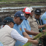 Produksi Padi NTT Meningkat, Dari Kupang Menuju Swasembada Pangan