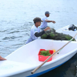 Periode Tahun 2025, TJSL PLN Peduli Jangkau 700 Ribu Lebih Penerima Manfaat