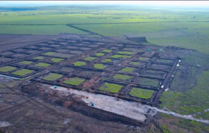 Tambak Udang Raksasa Dibangun di Sumba Timur, Investasi Rp7,2 Triliun