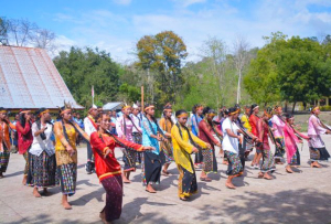Safari Tarian Congka Sae dalam Harmoni Budaya Manggarai