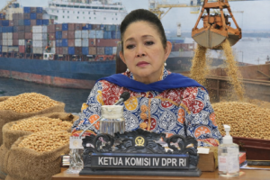 Masyarakat Indonesia Pemakan Tempe Tapi Impor Kedelai 70 Persen