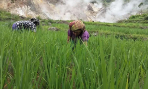 Geotermal Jadi Harapan, PLN Perkuat Transisi Energi Bersih di Pulau Flores