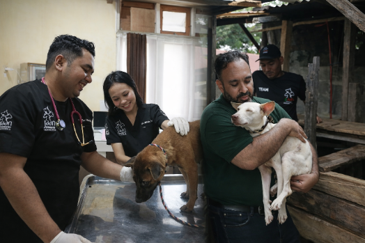 Tutup Permanen Dua Usaha RW Anjing di Kupang, 10 Anjing Diselamatkan